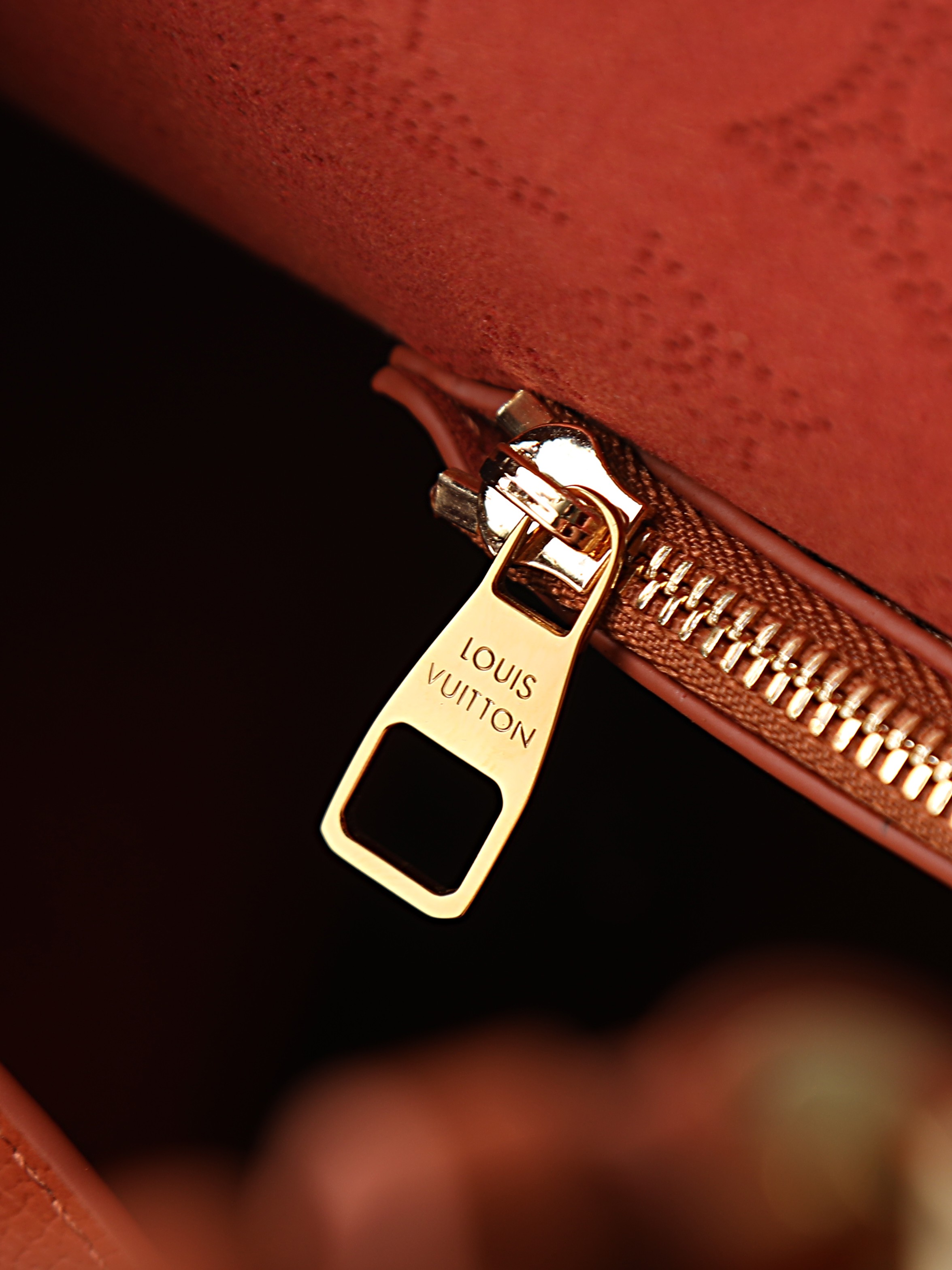 Louis Vuitton Sac Carmel handbag