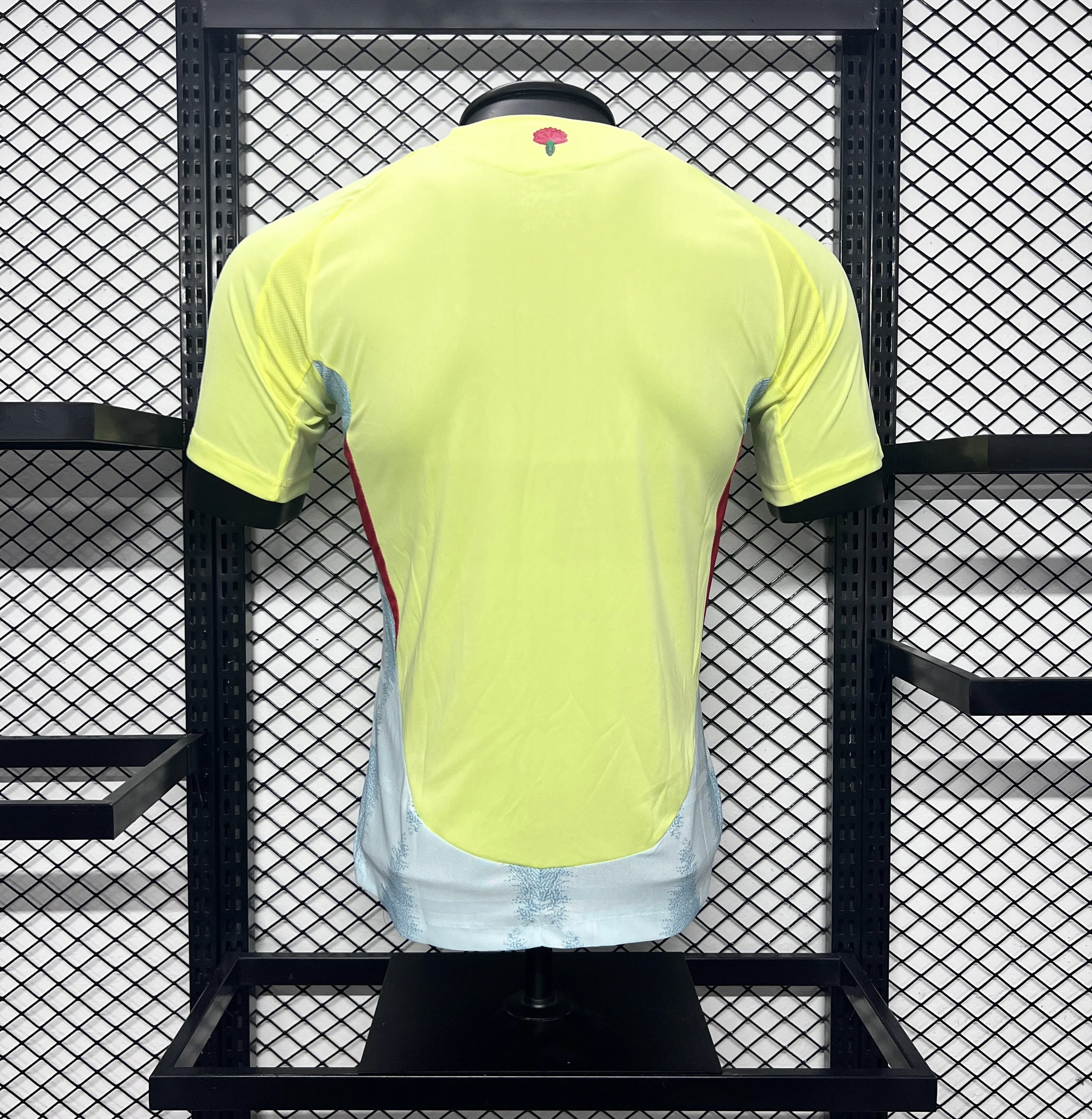 Player Version  Spain 24/25 Away