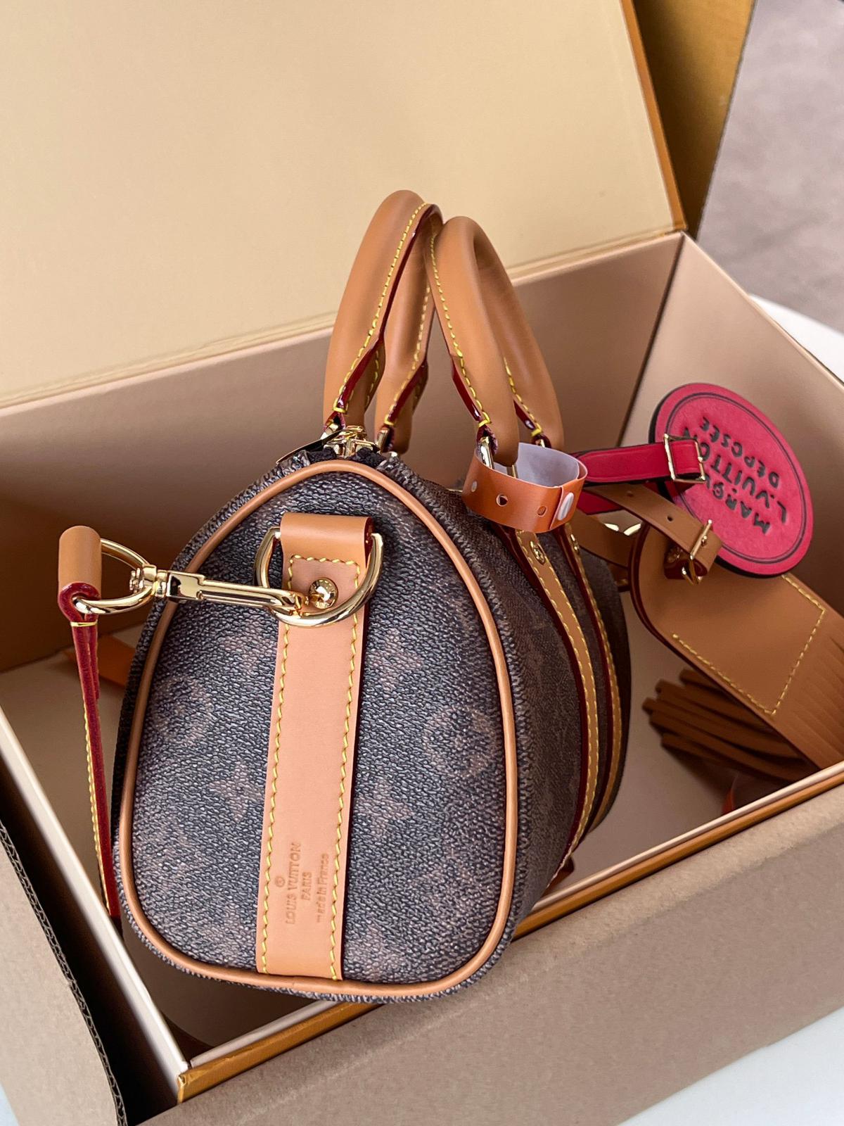 Louis Vuitton LV Keepall Bandoulière 25