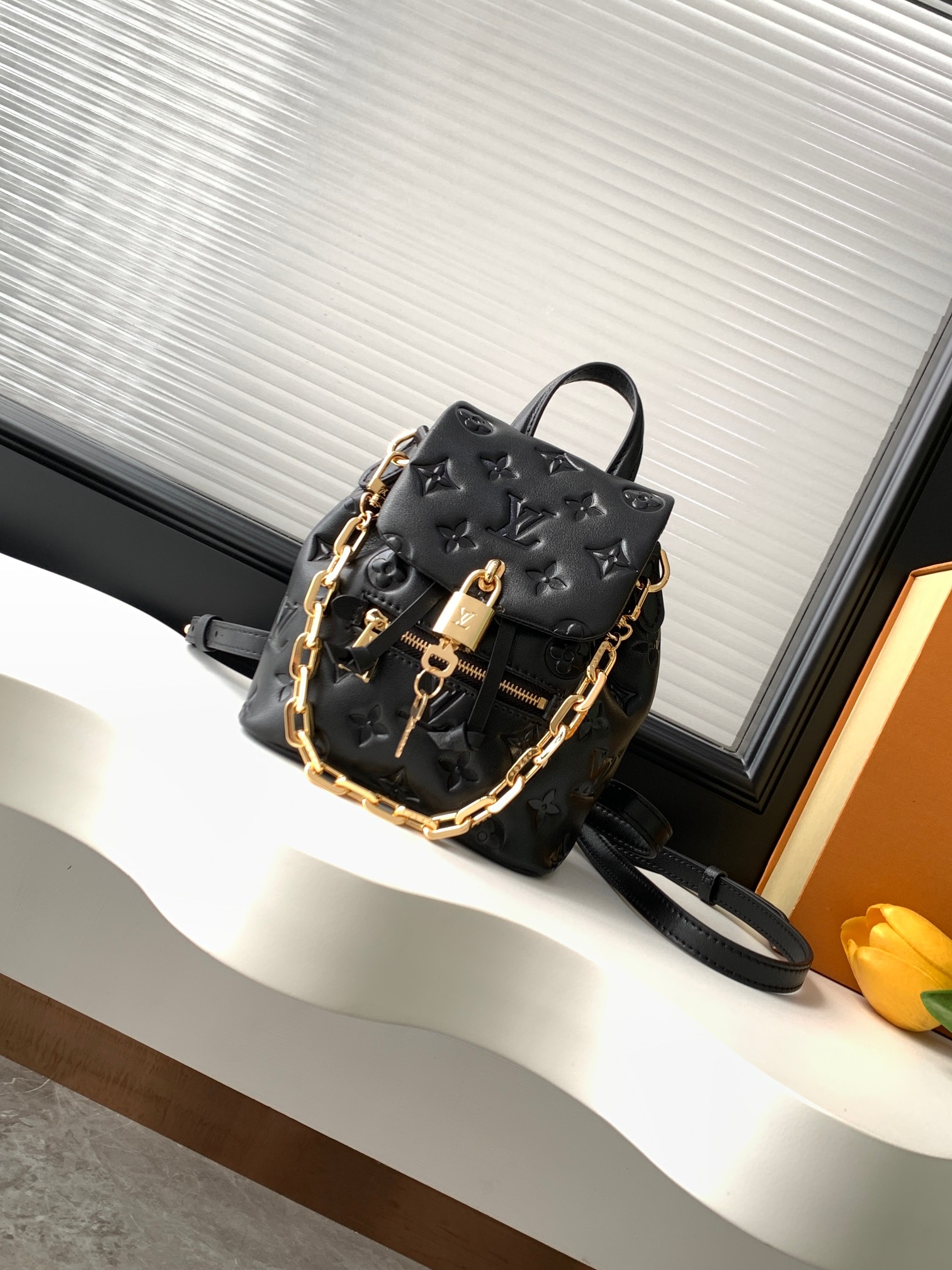 Louis Vuitton LV Coussin Backpack PM Backpack