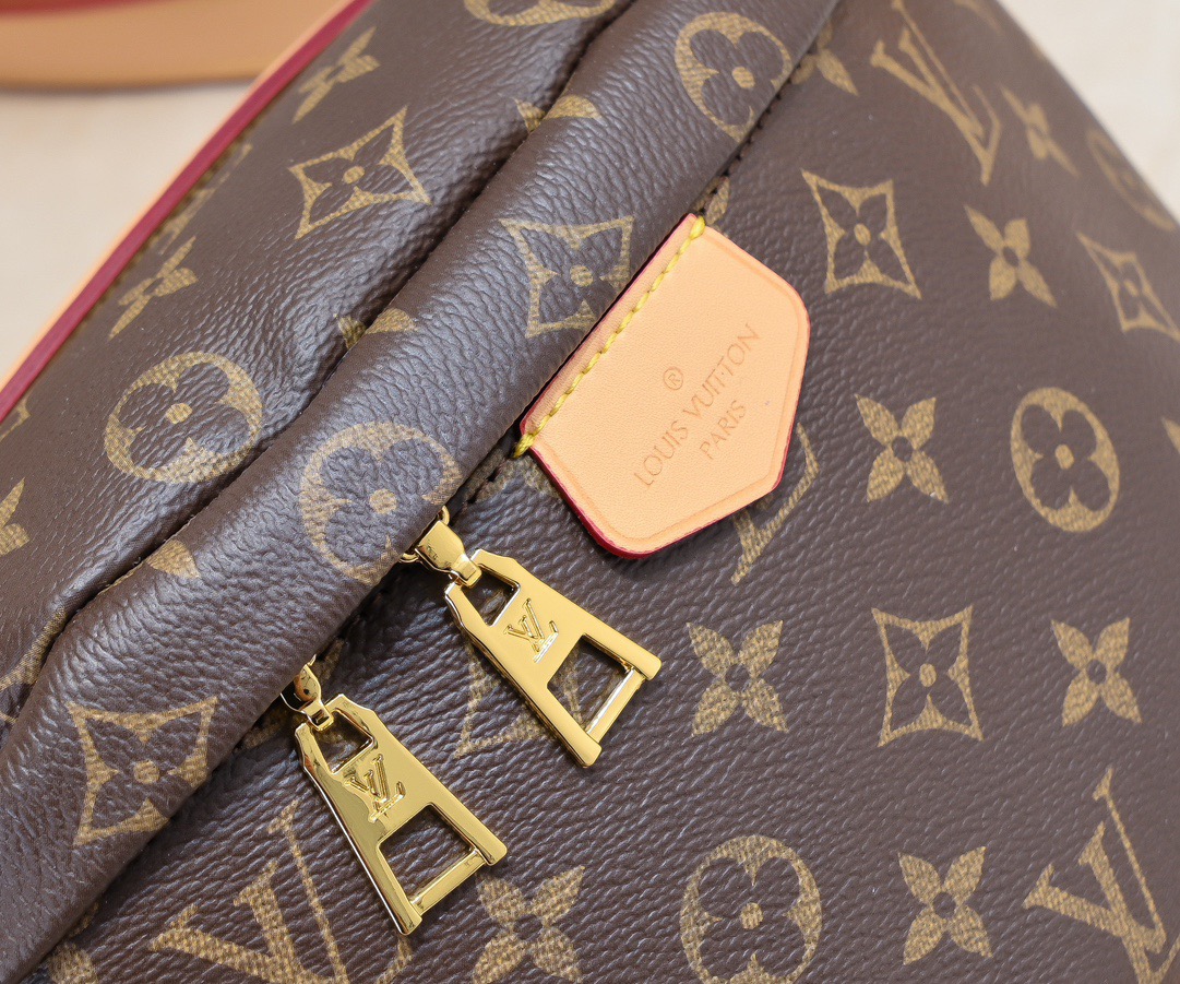 Louis Vuitton Bags Classic Fanny Pack Bag