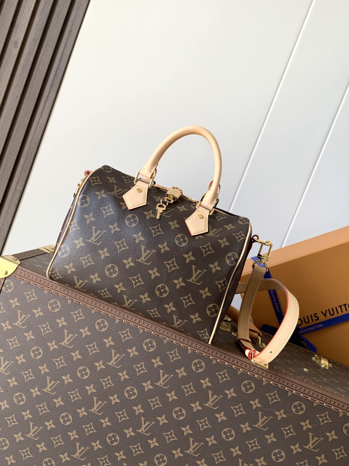 M46977 Speedy Bandouliere 25 in Monogram Canvas