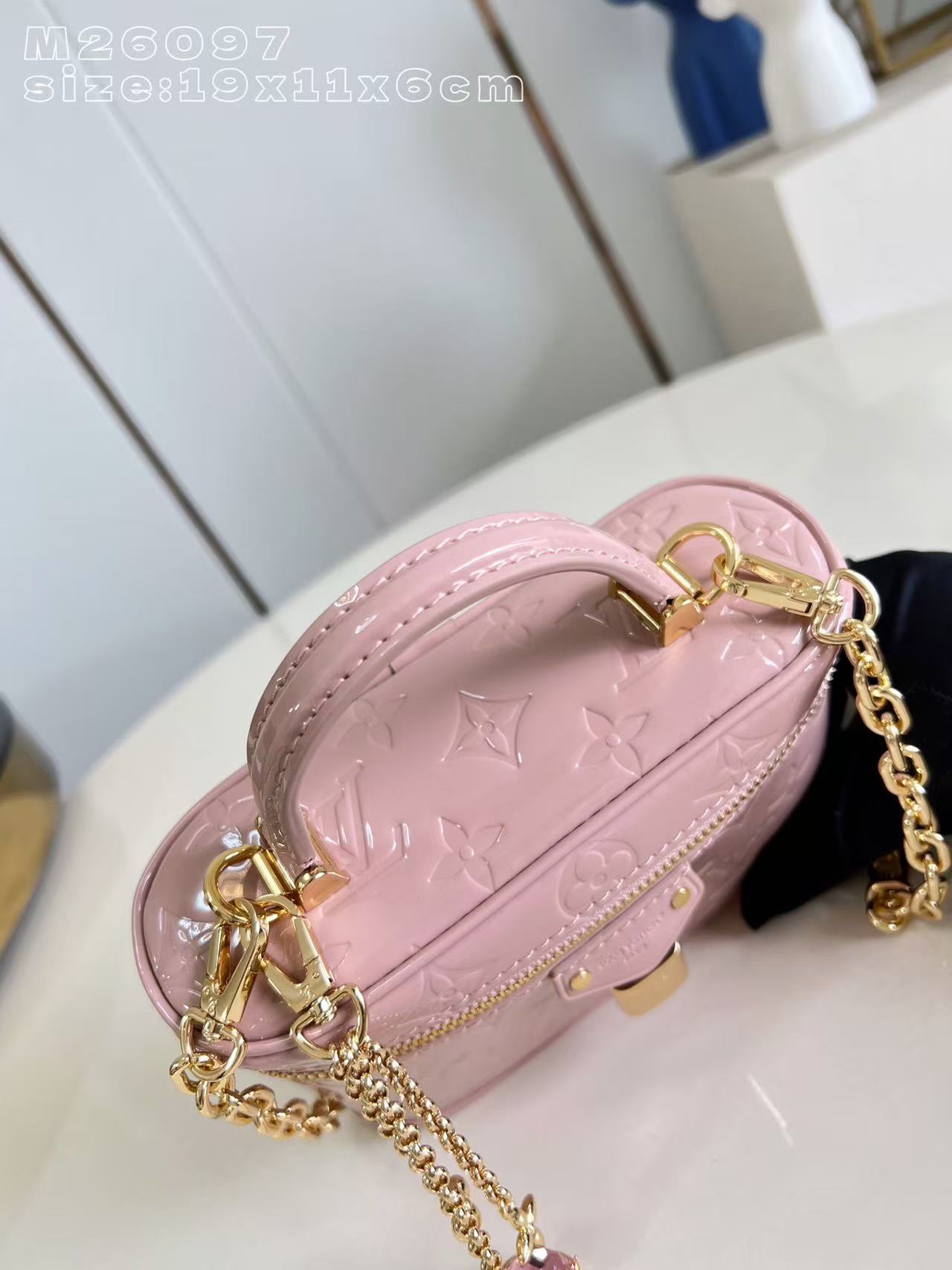 Louis Vuitton LV Vanity Chain Pouch handbag