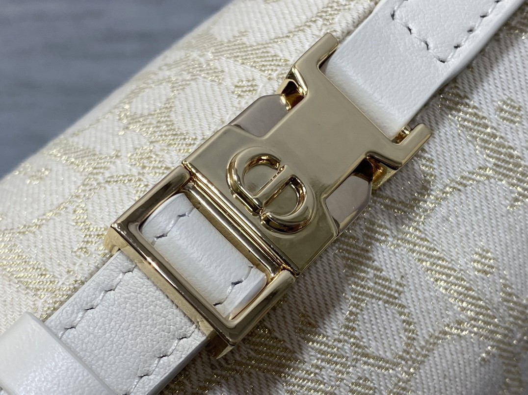 Dior Oblique print Travel Nomad Clutch