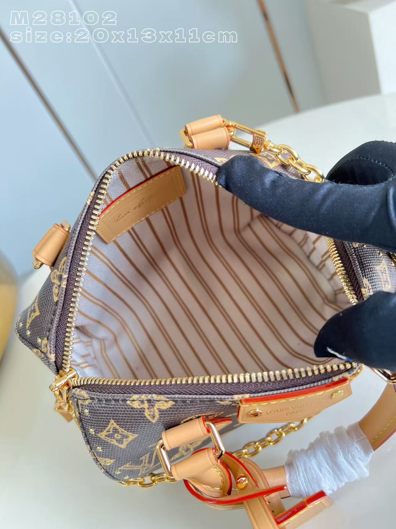 Louis Vuitton LV Speedy Trunk 20 handbag