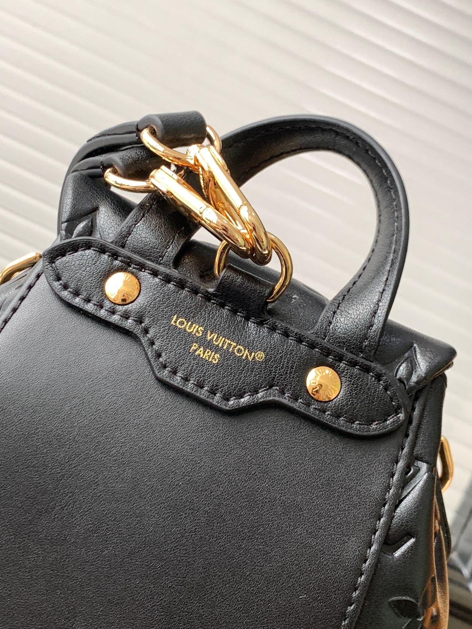 Louis Vuitton LV Coussin Backpack PM Backpack
