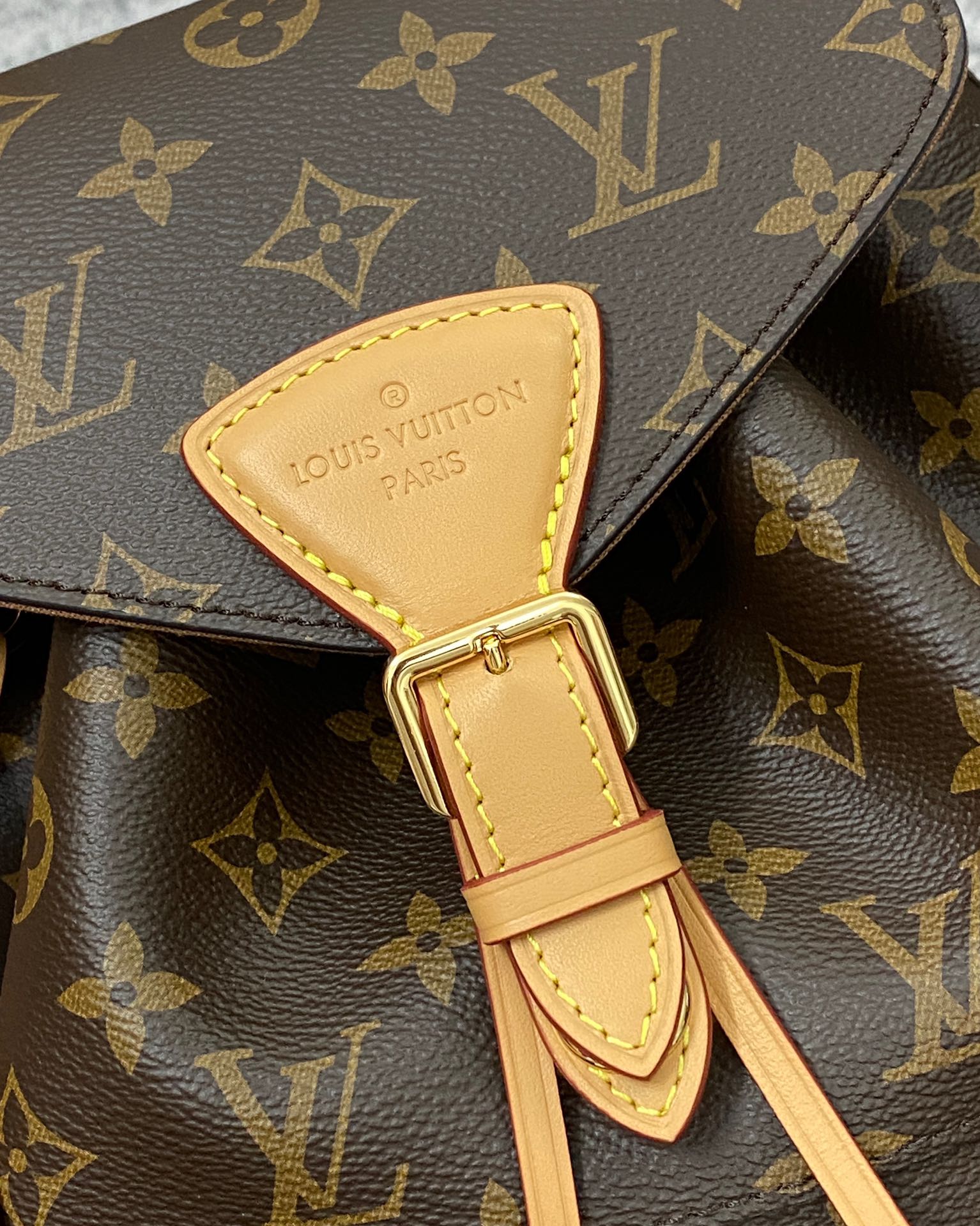 Louis Vuitton LV Montsouris PM M45501