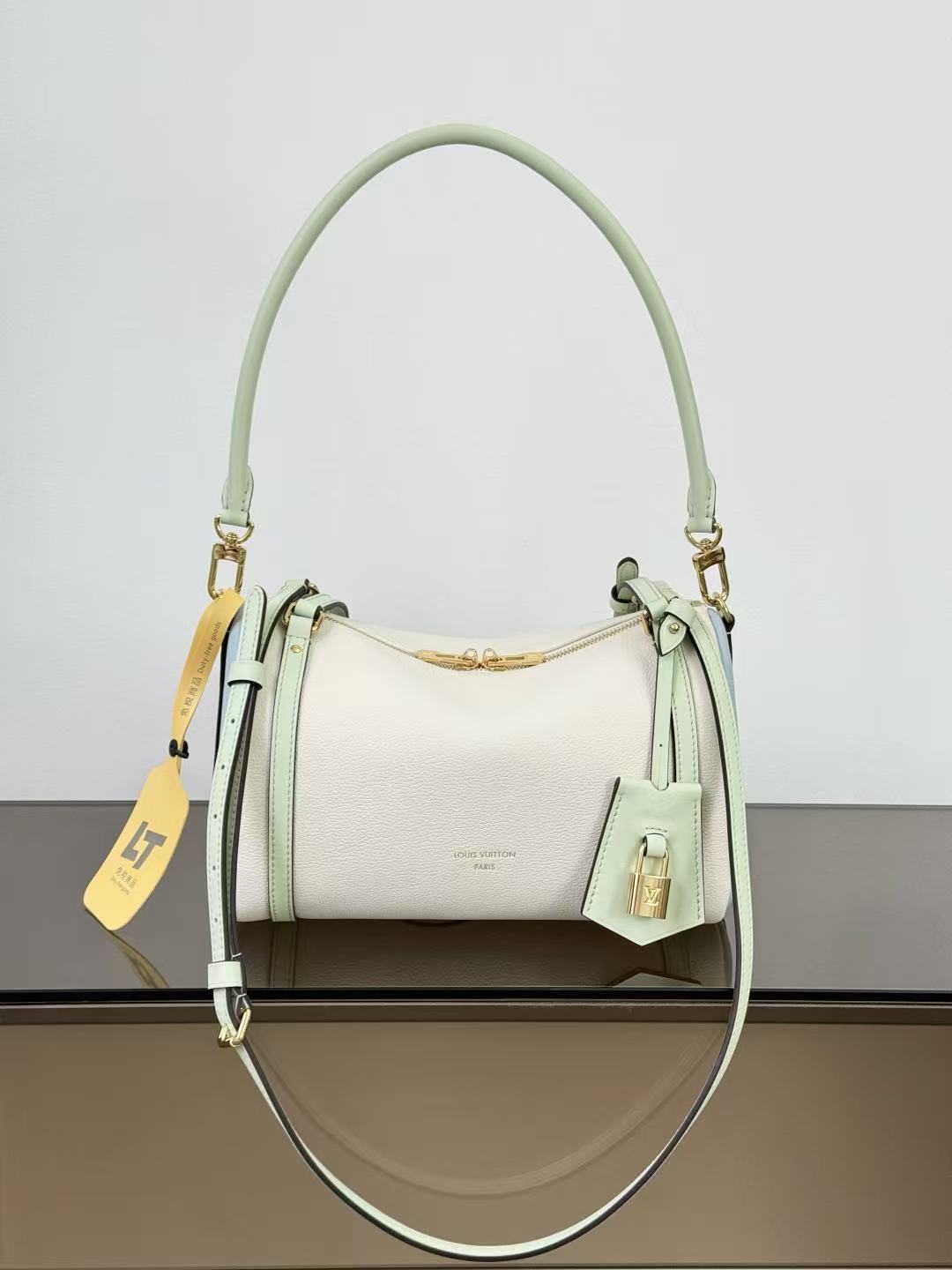 Louis Vuitton LV EXPRESS Bags