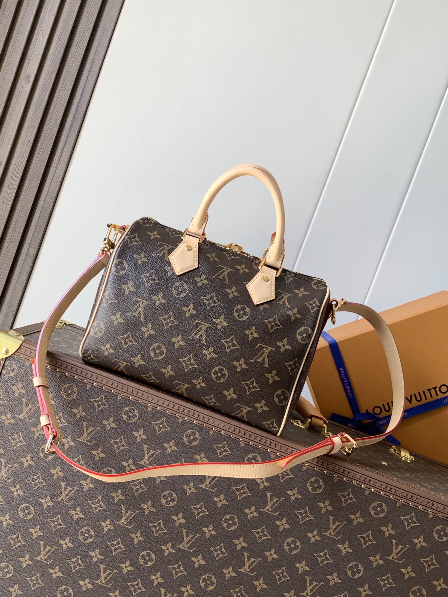 M46977 Speedy Bandouliere 25 in Monogram Canvas