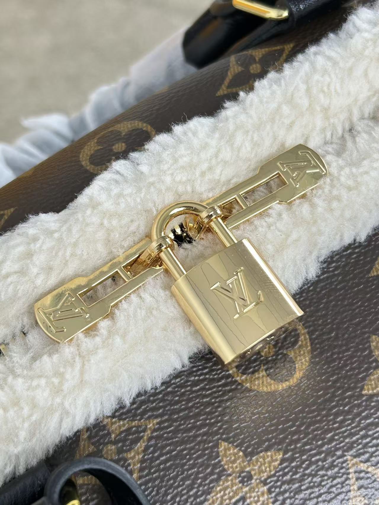 Louis Vuitton LV SPEEDY SOFT 30 TEDDY Handbag