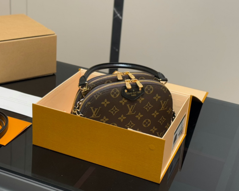 Louis Vuitton LV Versatile Classic Shell Bag