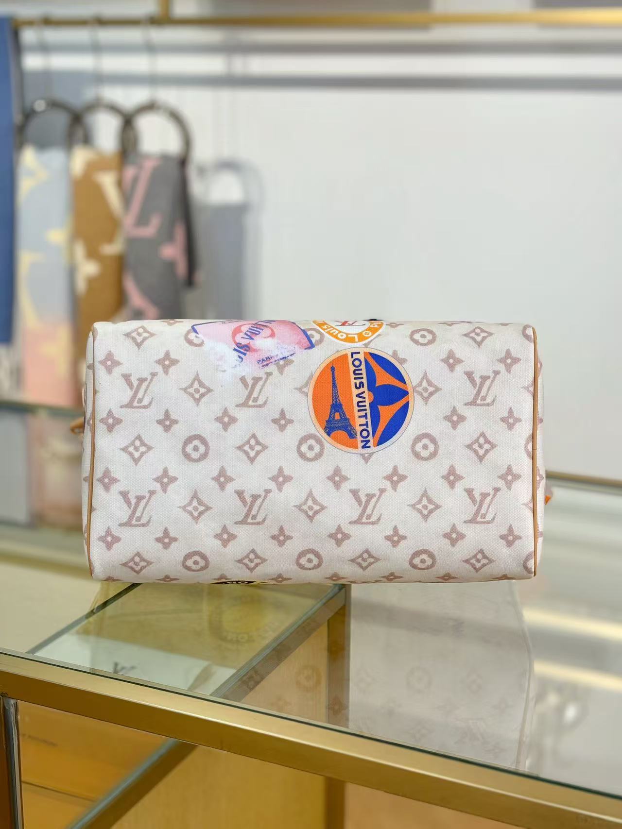 Louis Vuitton LV Sneedy SOFT 30 handbag