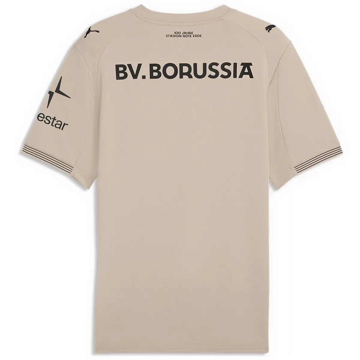 Borussia Dortmund 100th Anniversary Rote Erde Special Edition GK Jersey 26/27 | Soc Jersey - Premium Football Jersey