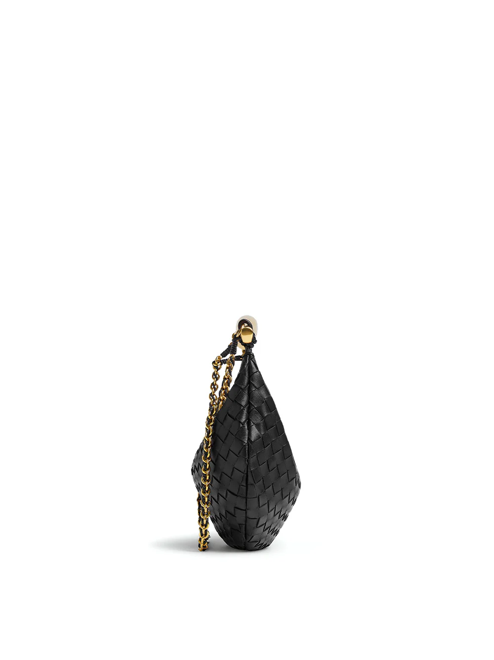 Bottega Veneta Small Sardine Bag