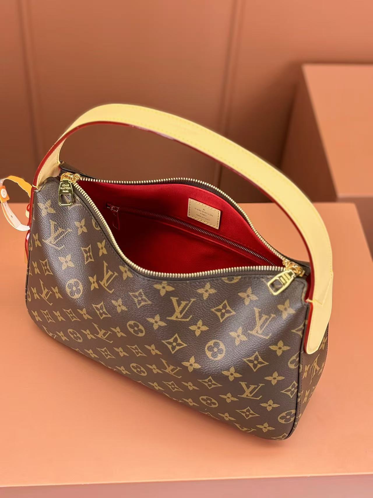 Louis Vuitton LV SLOUCHY handbag