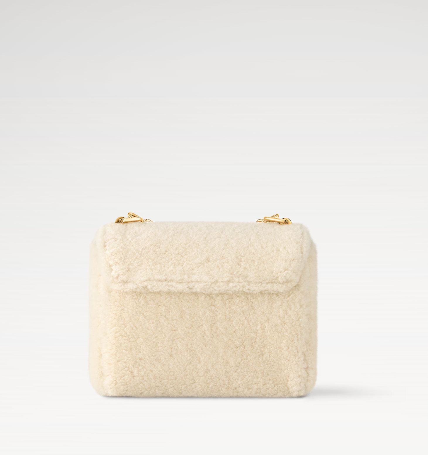 Louis Vuitton LV Twist PM bag