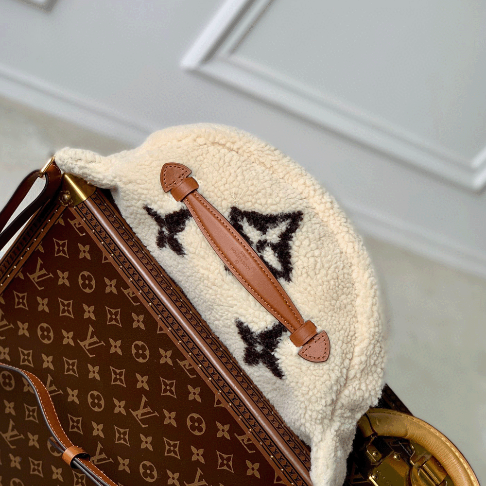 Louis Vuitton LV SKI Bumbag