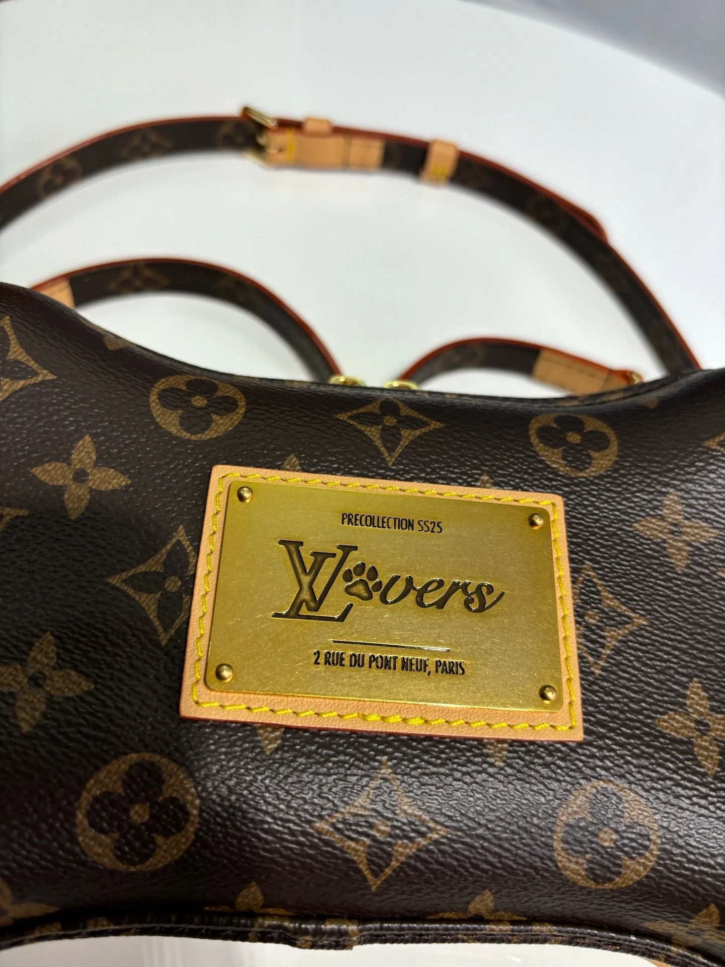 Louis Vuitton LV SS25 Bone Wearable  24cm Monogram coated canvas