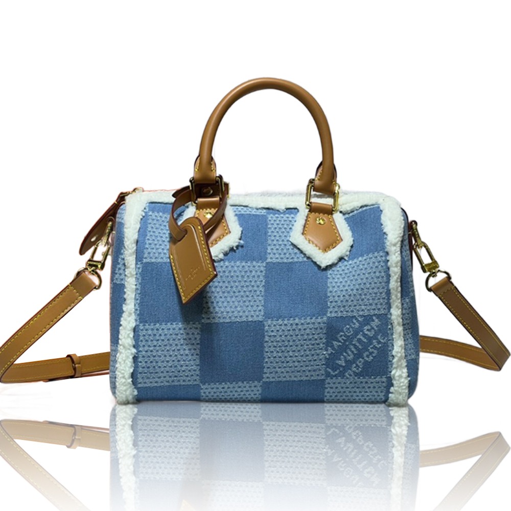 Louis Vuitton LV Speedy25 Denim Canvas Bag