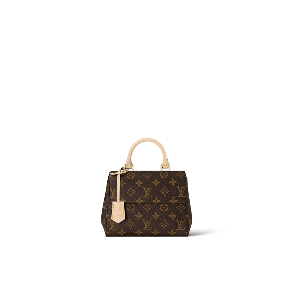 Louis Vuitton LV Cluny Bag
