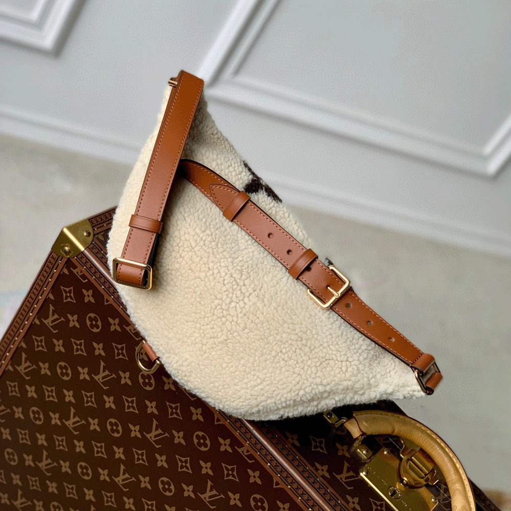 Louis Vuitton LV SKI Bumbag