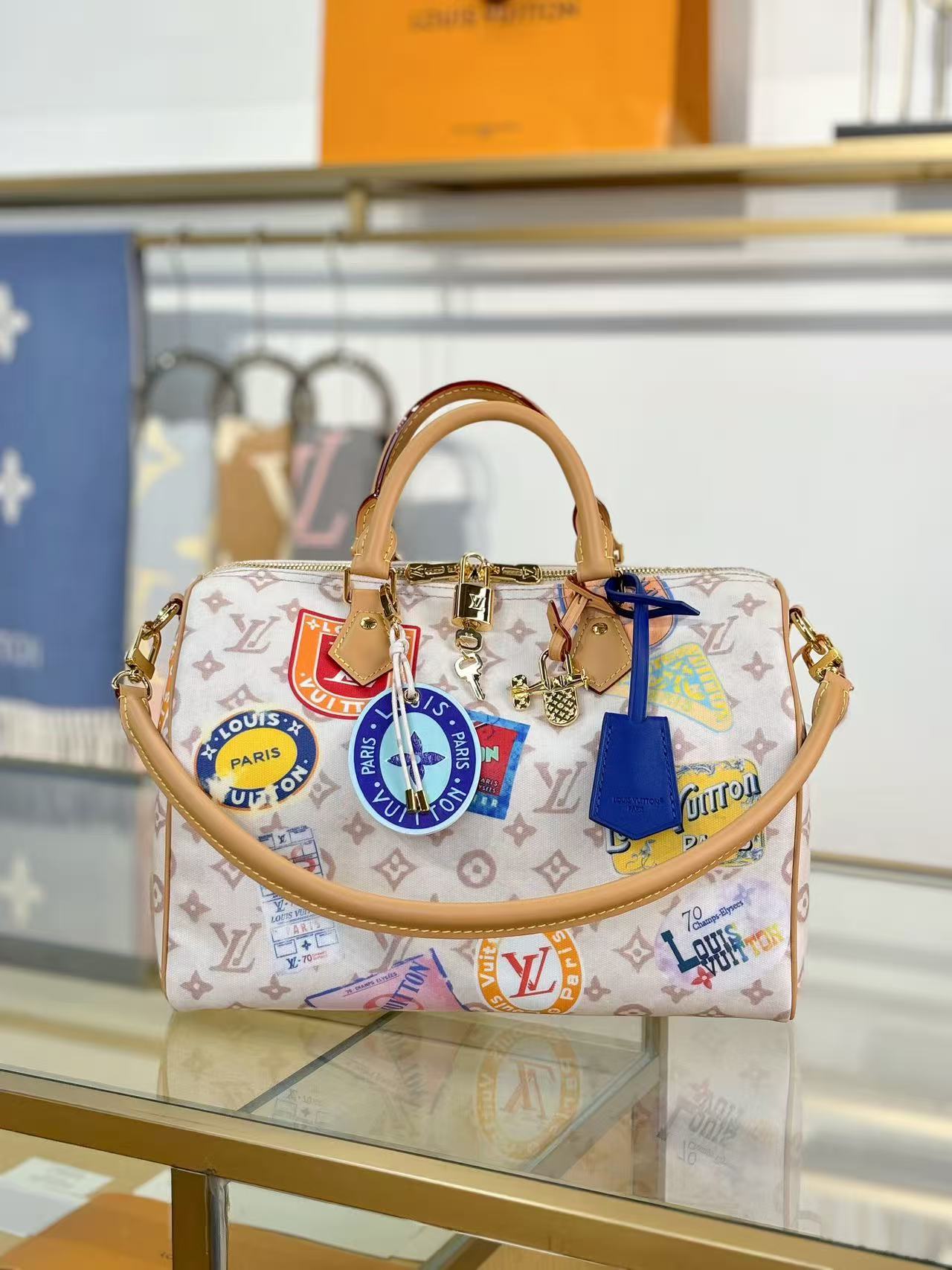 Louis Vuitton LV Sneedy SOFT 30 handbag
