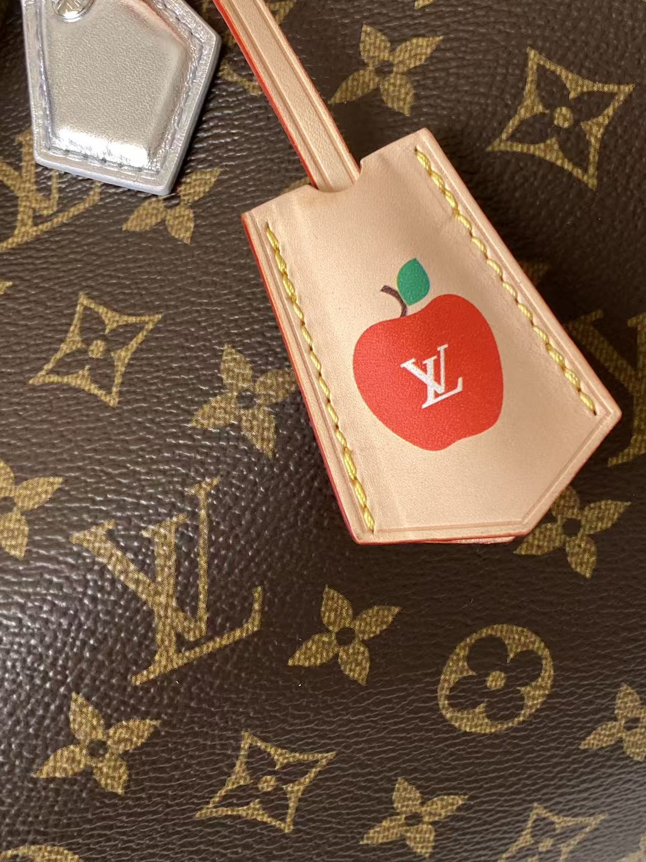 Louis Vuitton Speedy Soft 30 Boho handbag