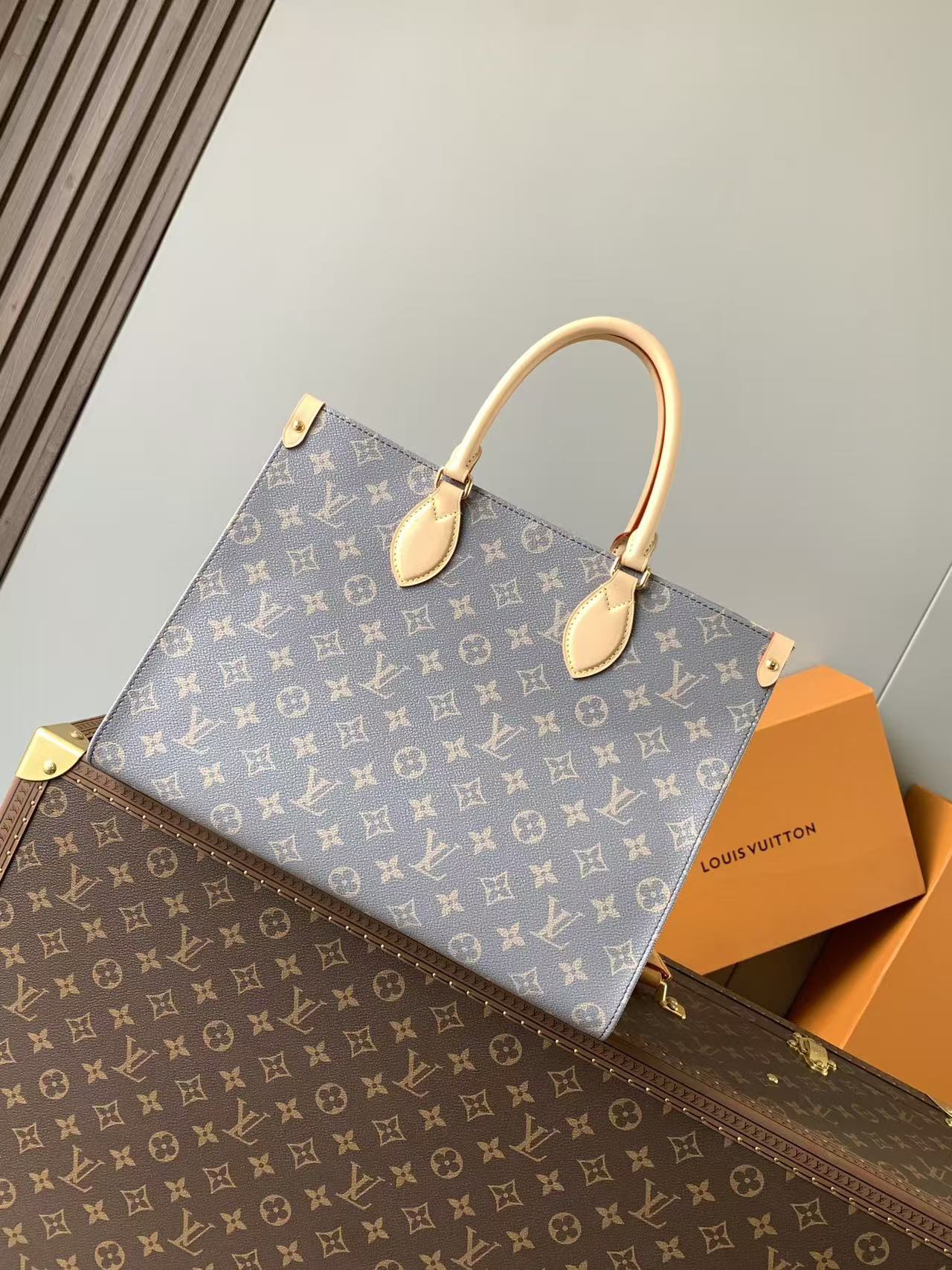 Louis Vuitton LV OnTheGo MM handbag