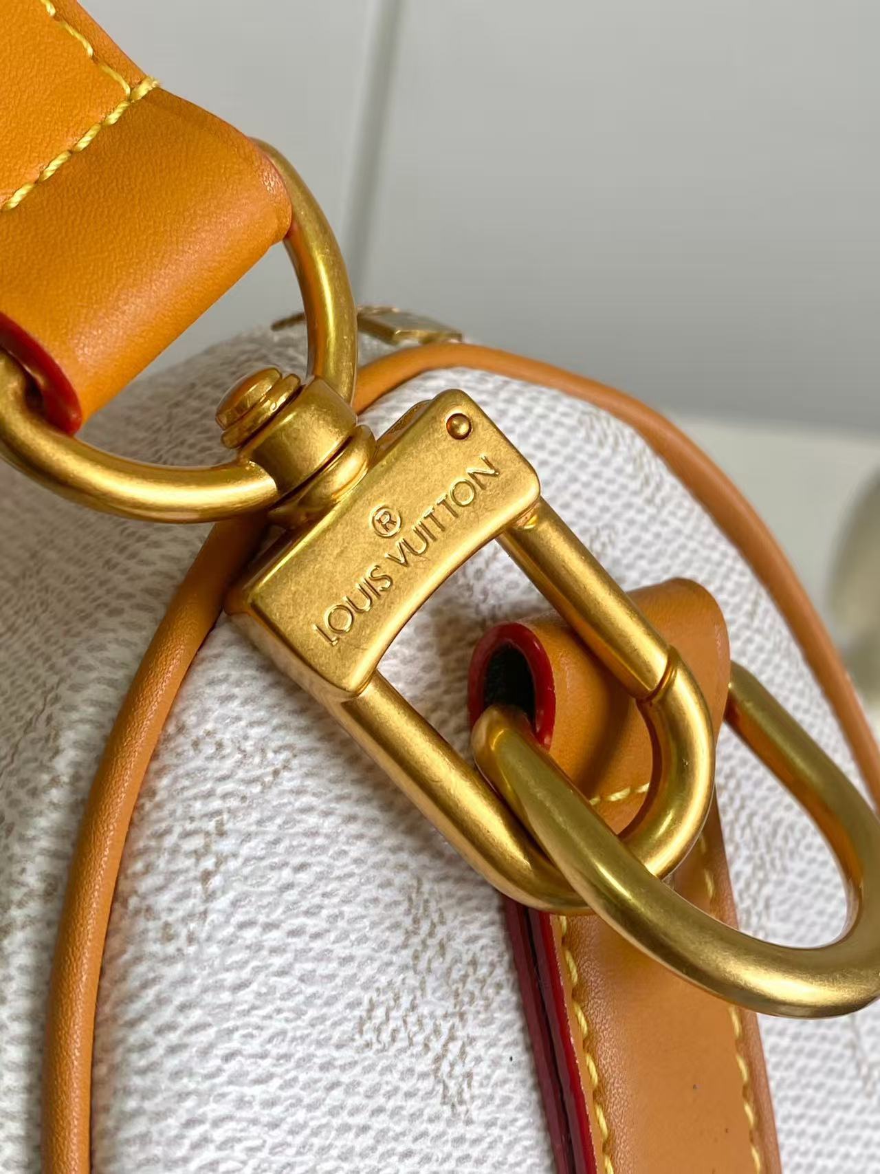 Louis Vuitton keeall bandouliere 25 handbag