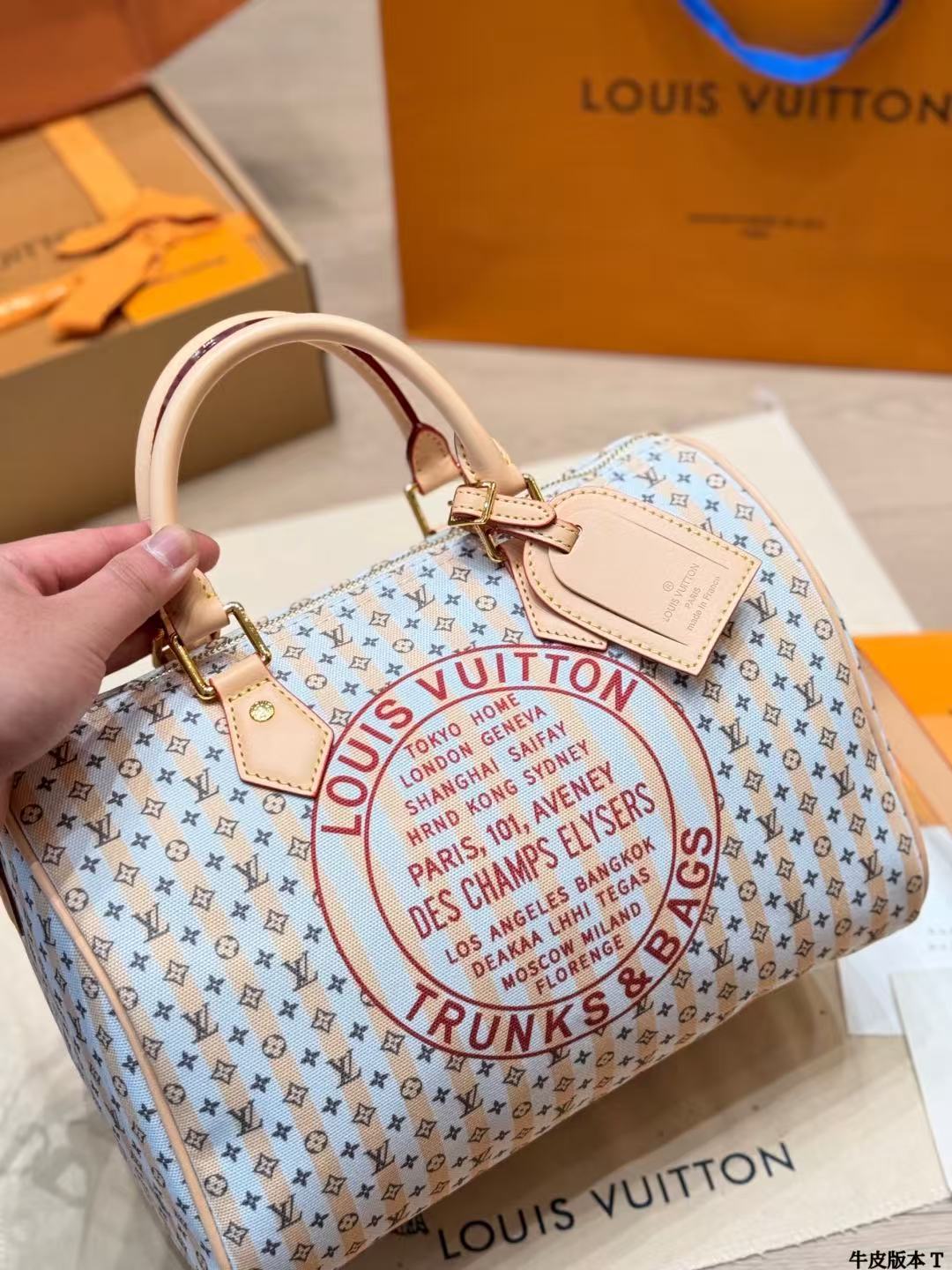Louis Vuitton LV new Speedy Bandouliere 20 handbag