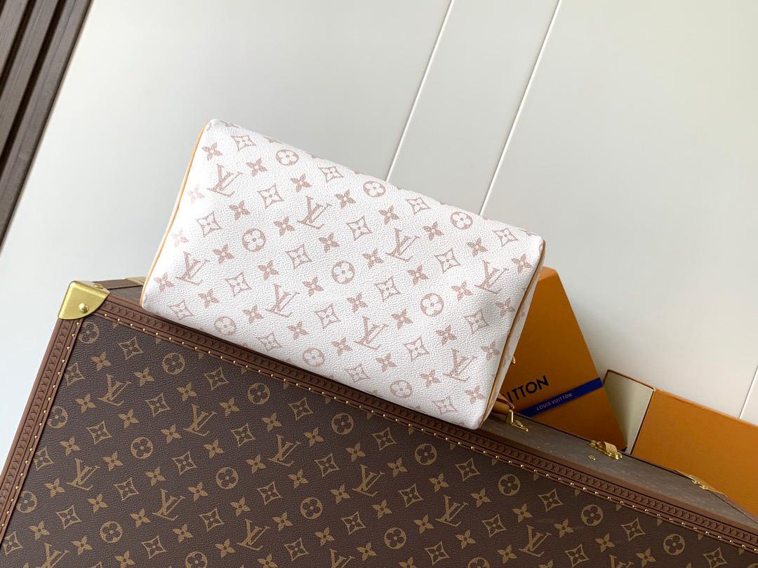 Louis Vuitton lv speedy 30