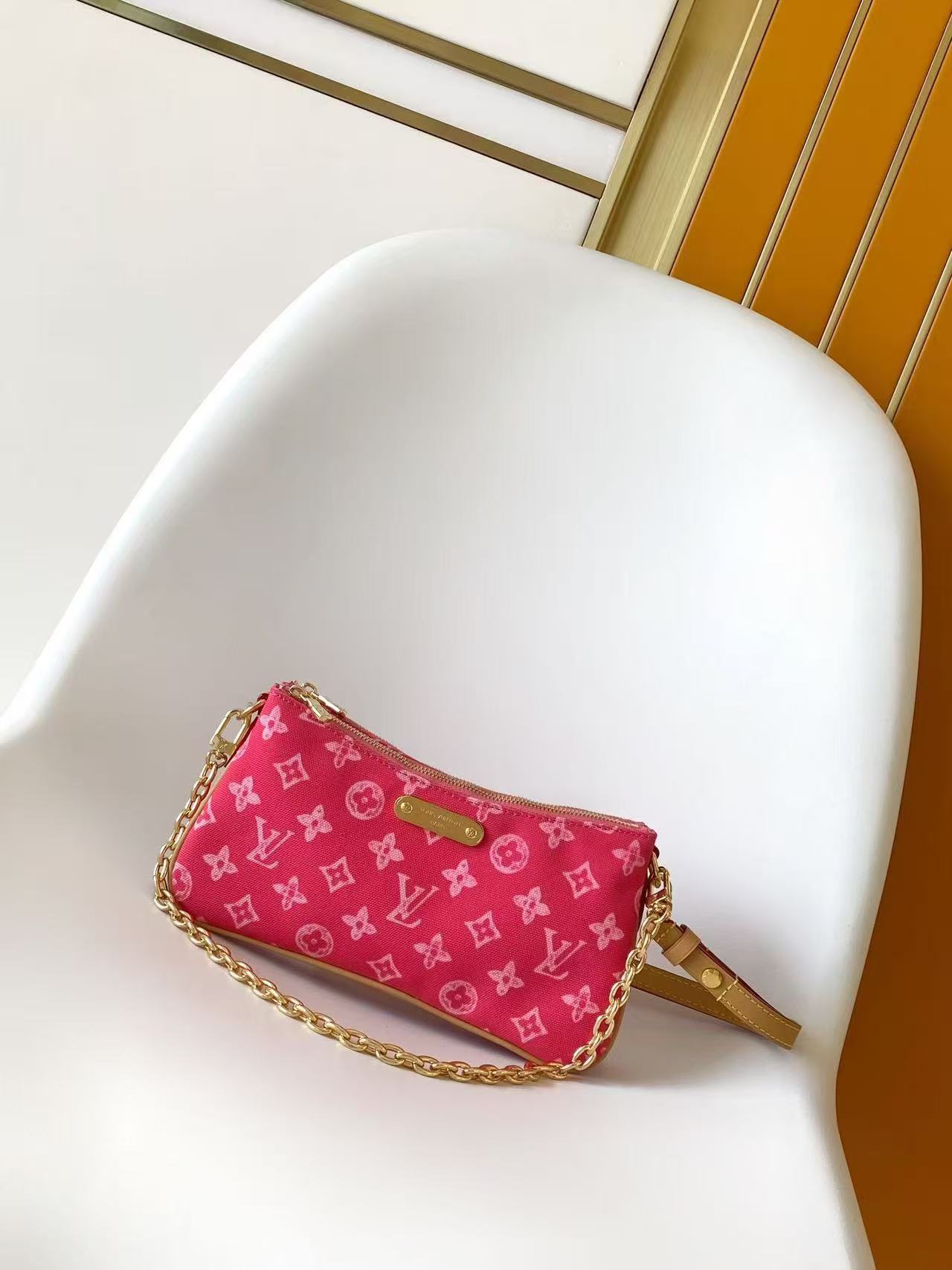 Louis Vuitton LV POCHETTE  Bag