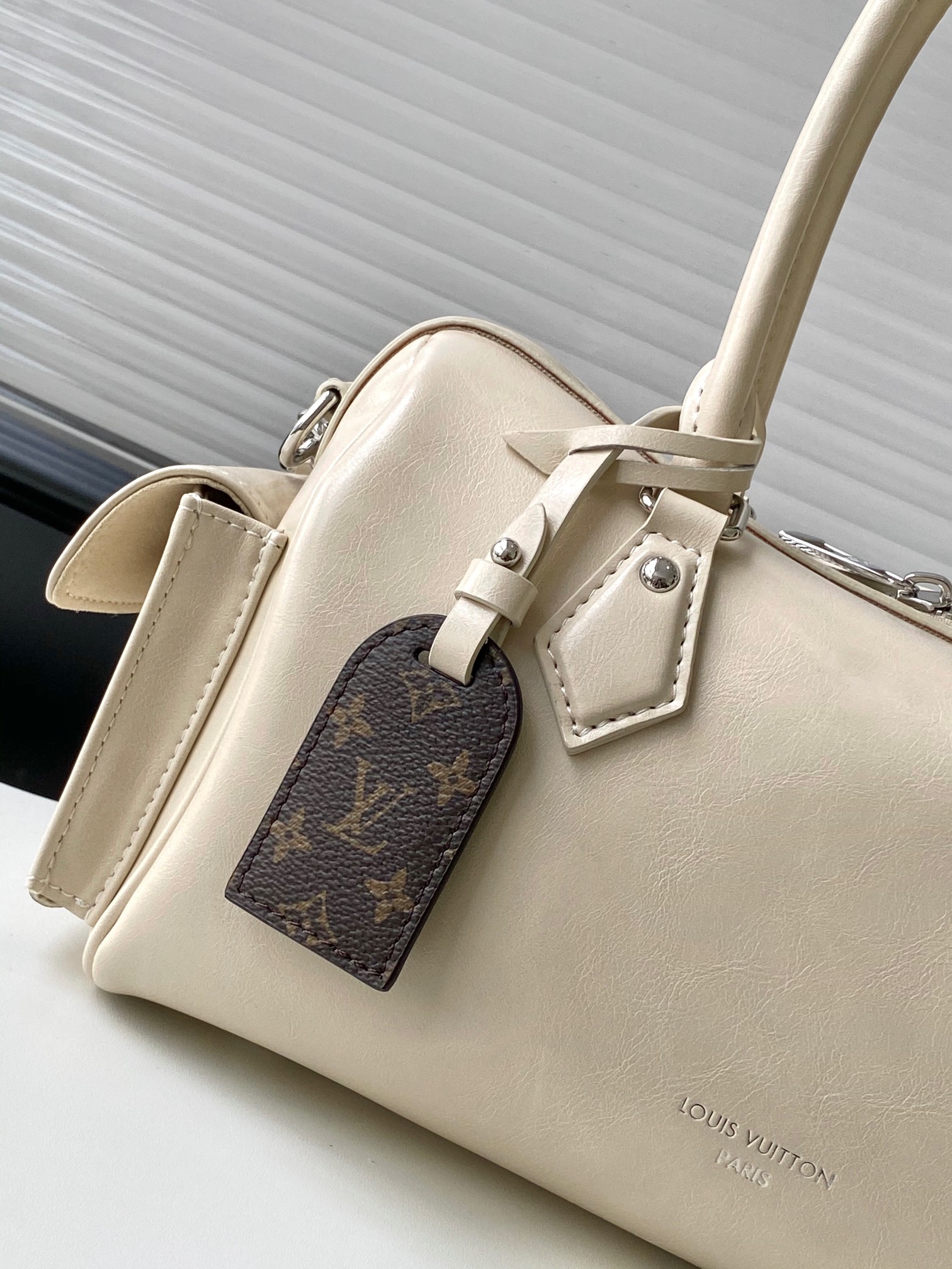 Louis Vuitton LV Speedy Cargo Vibe handbag