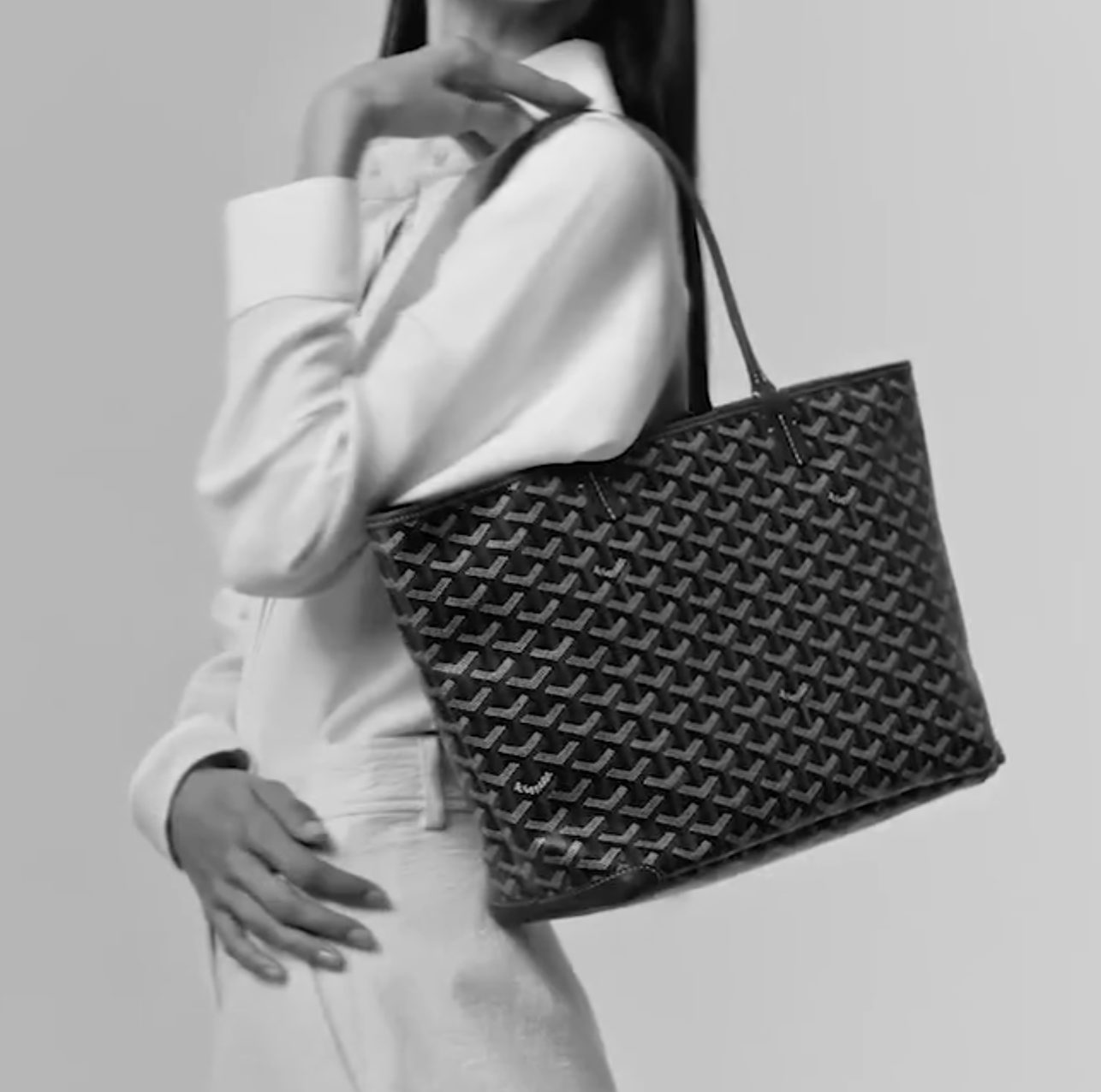 Goyard Tote Saint Louis PM Bag