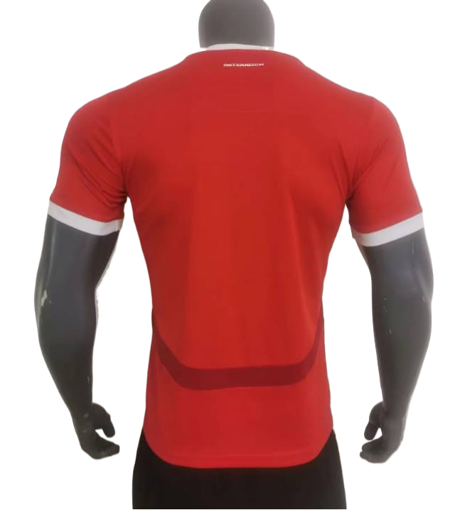 Austria 24/25 Home   Fan version S-XXL