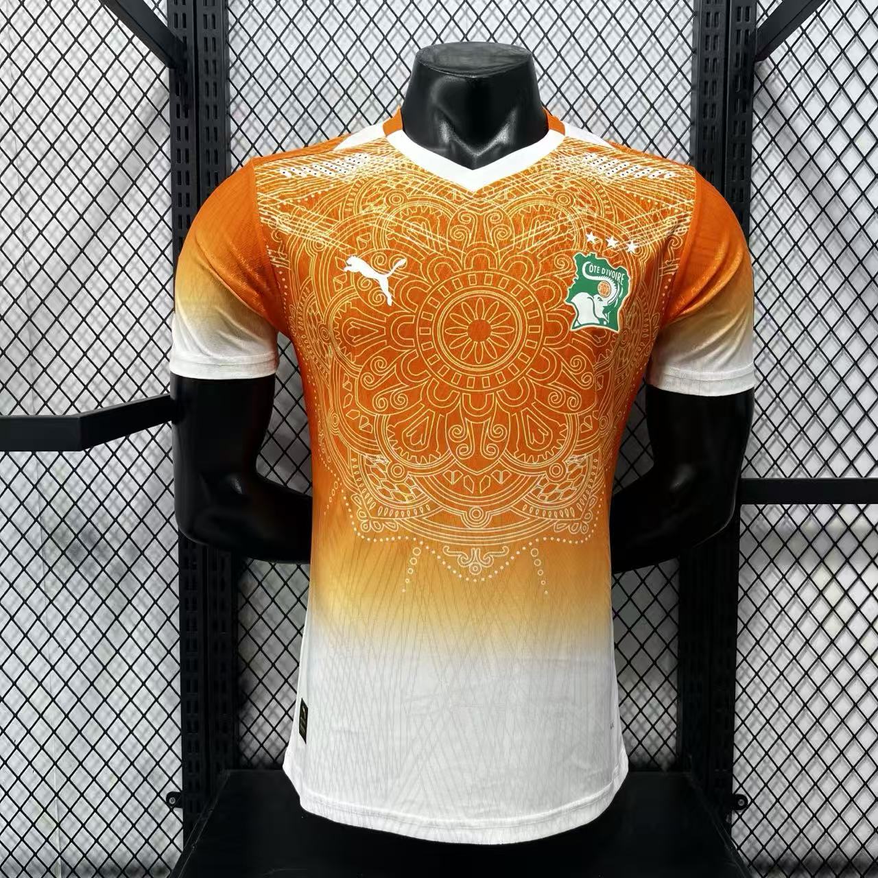 Player Version Côte d'Ivoire 2026 Special Jersey - Yellow