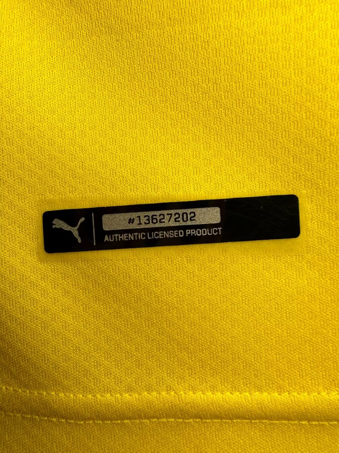 Borussia Dortmund Home Man Jersey 2019/20