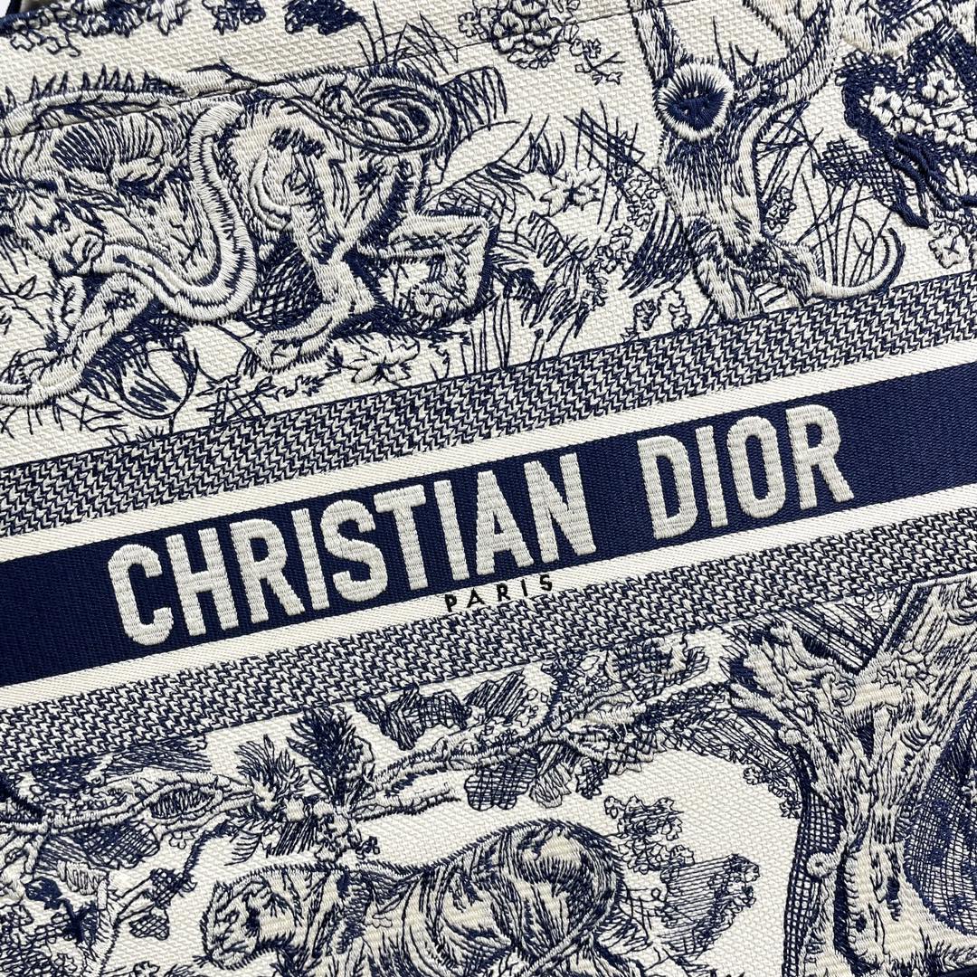 Dior Large Embroidered Book Tote