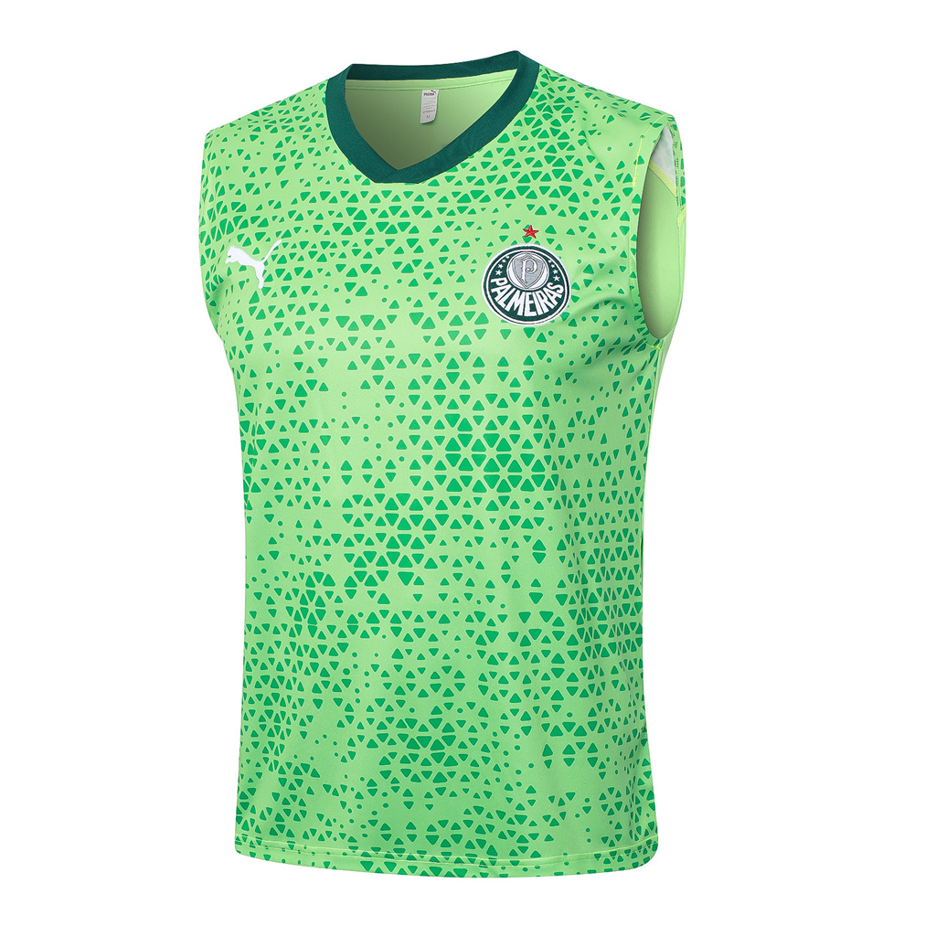 Palmeiras Training Jersey 23/24 | Soc Jersey - Premium Football Jersey