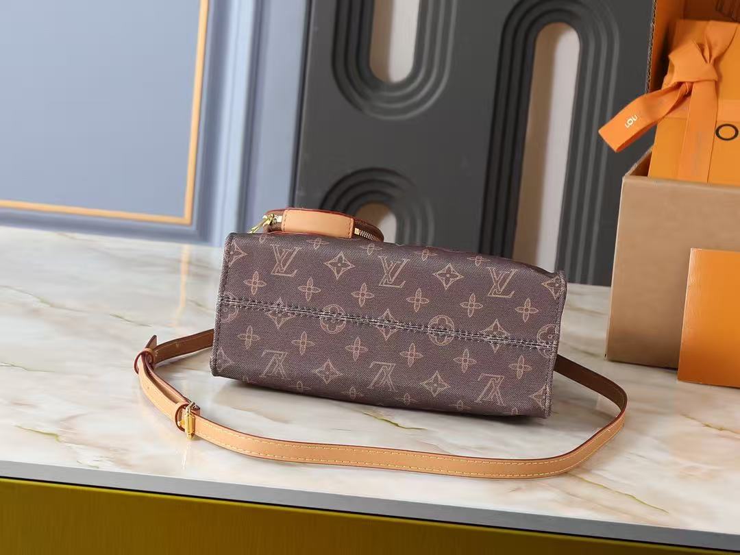 Louis Vuitton LV OnTheGo Small Handbag