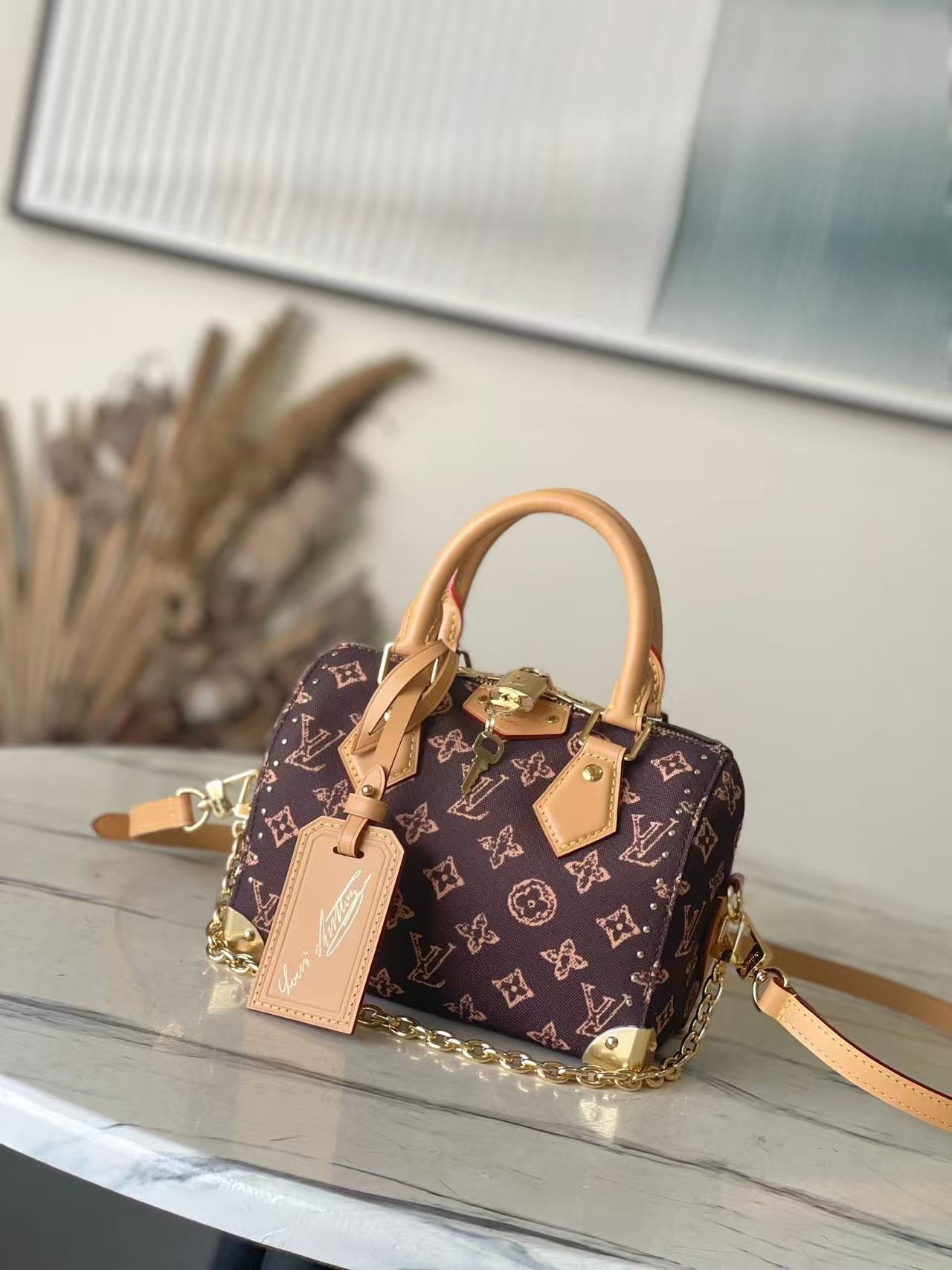 Louis Vuitton LV SPEEDY TRUNK 20 Bags