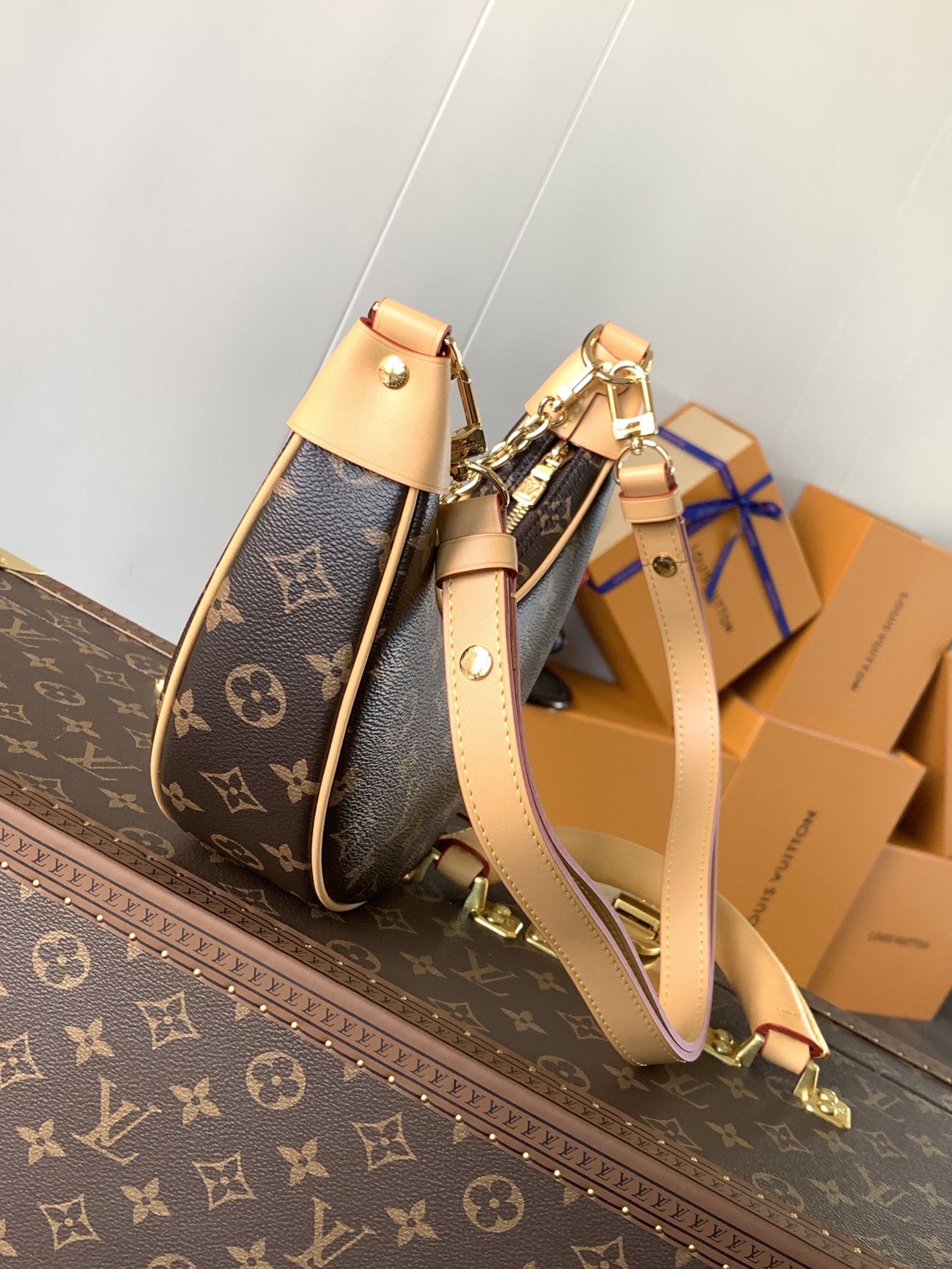 M81098 LV Loop Mini Bag in Monogram Canvas