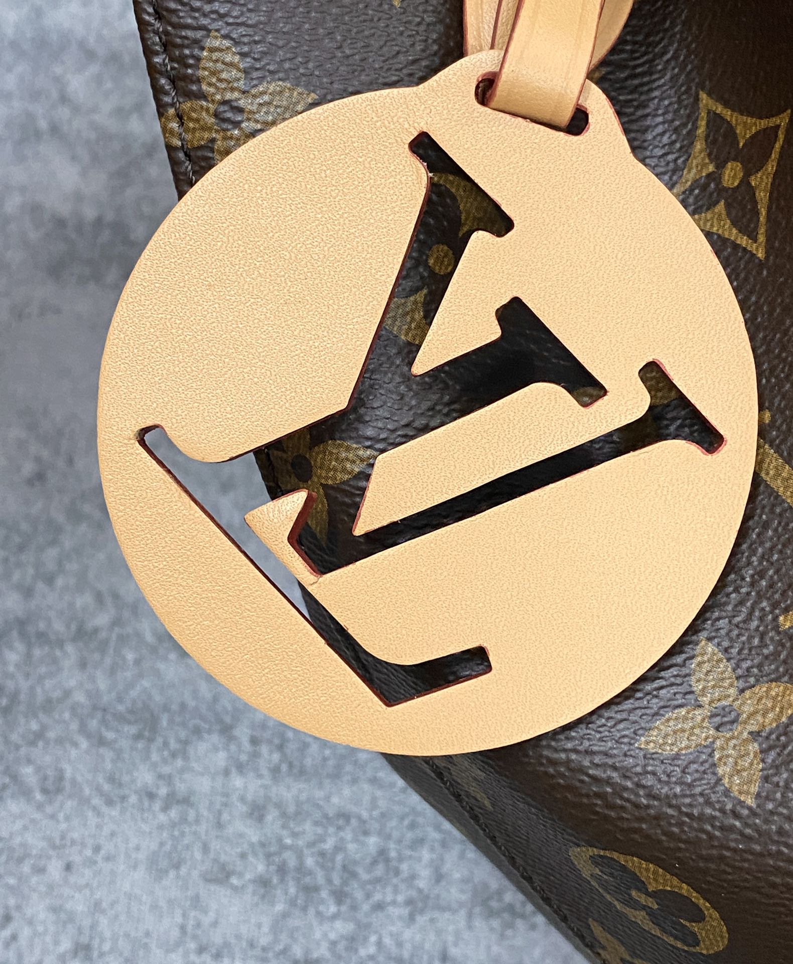 Louis Vuitton LV Montsouris PM M45501