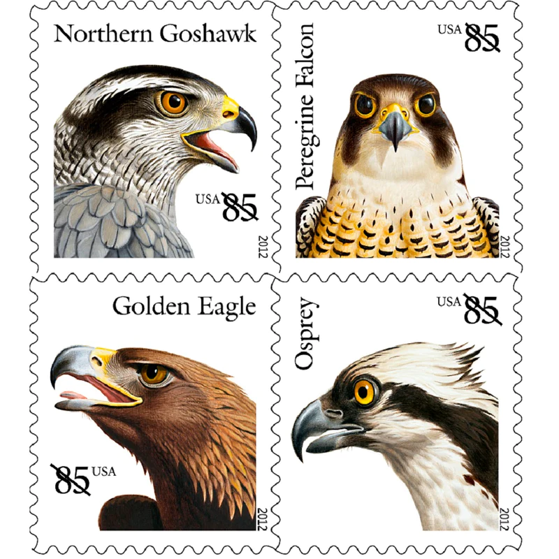 Birds of Prey - PostMarks