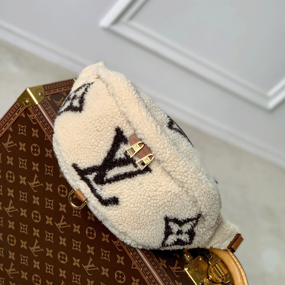 Louis Vuitton LV SKI Bumbag