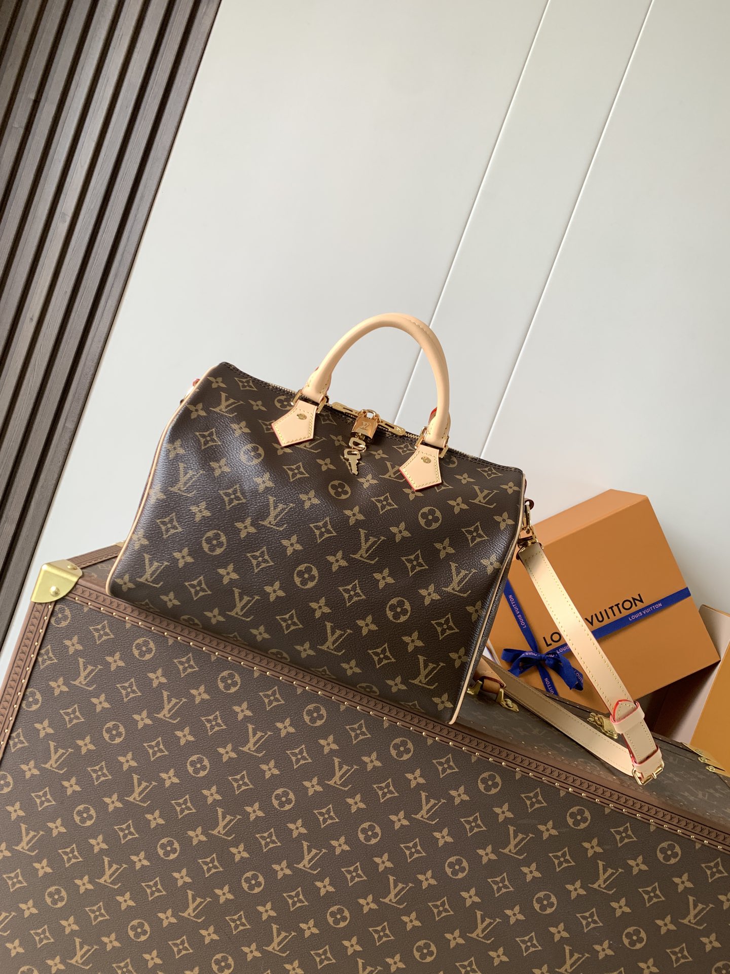 M46980 Speedy Bandouliere 30 in Monogram Canvas