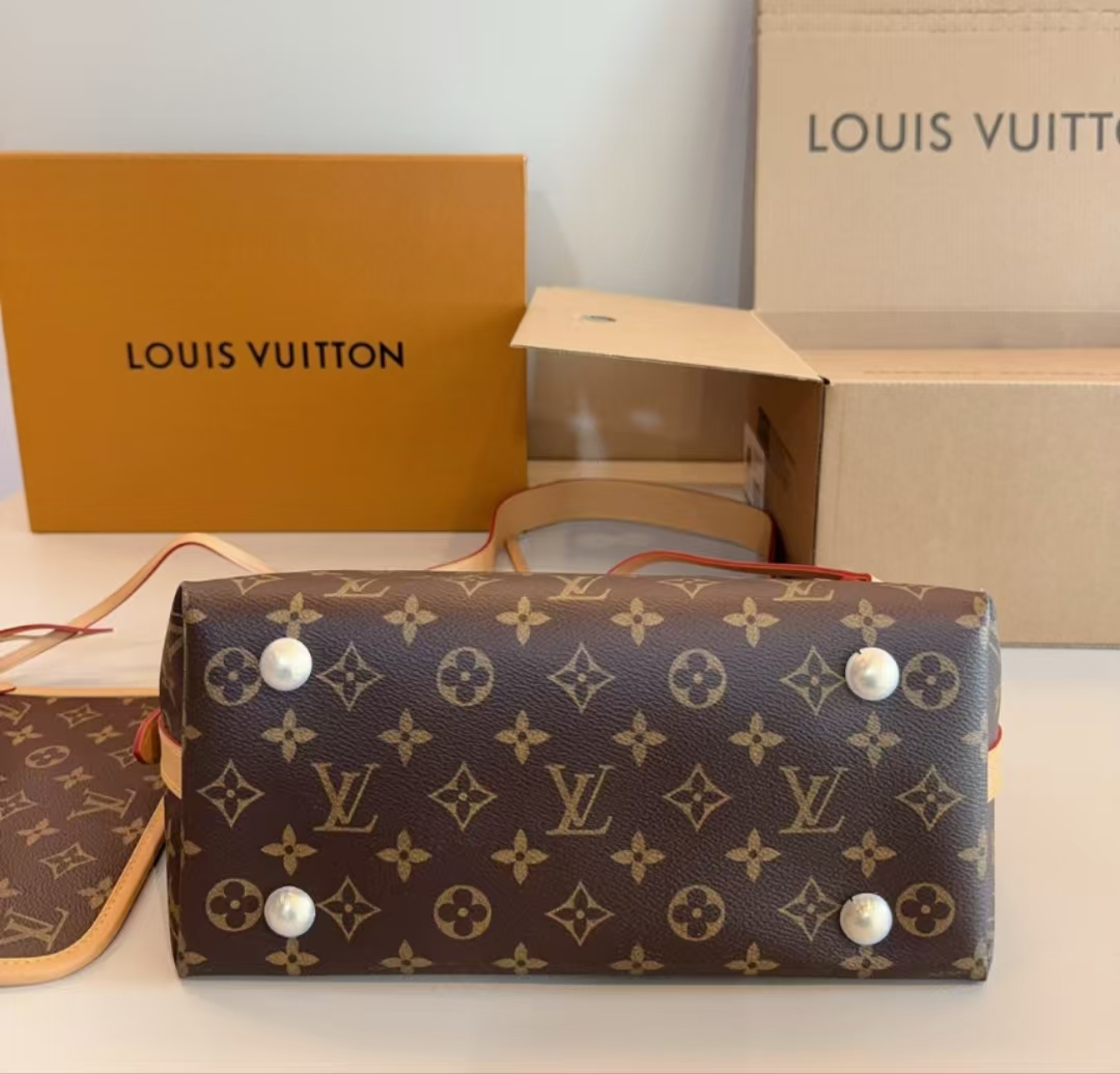 LOUIS VUITTON LV carryall New commuting bag