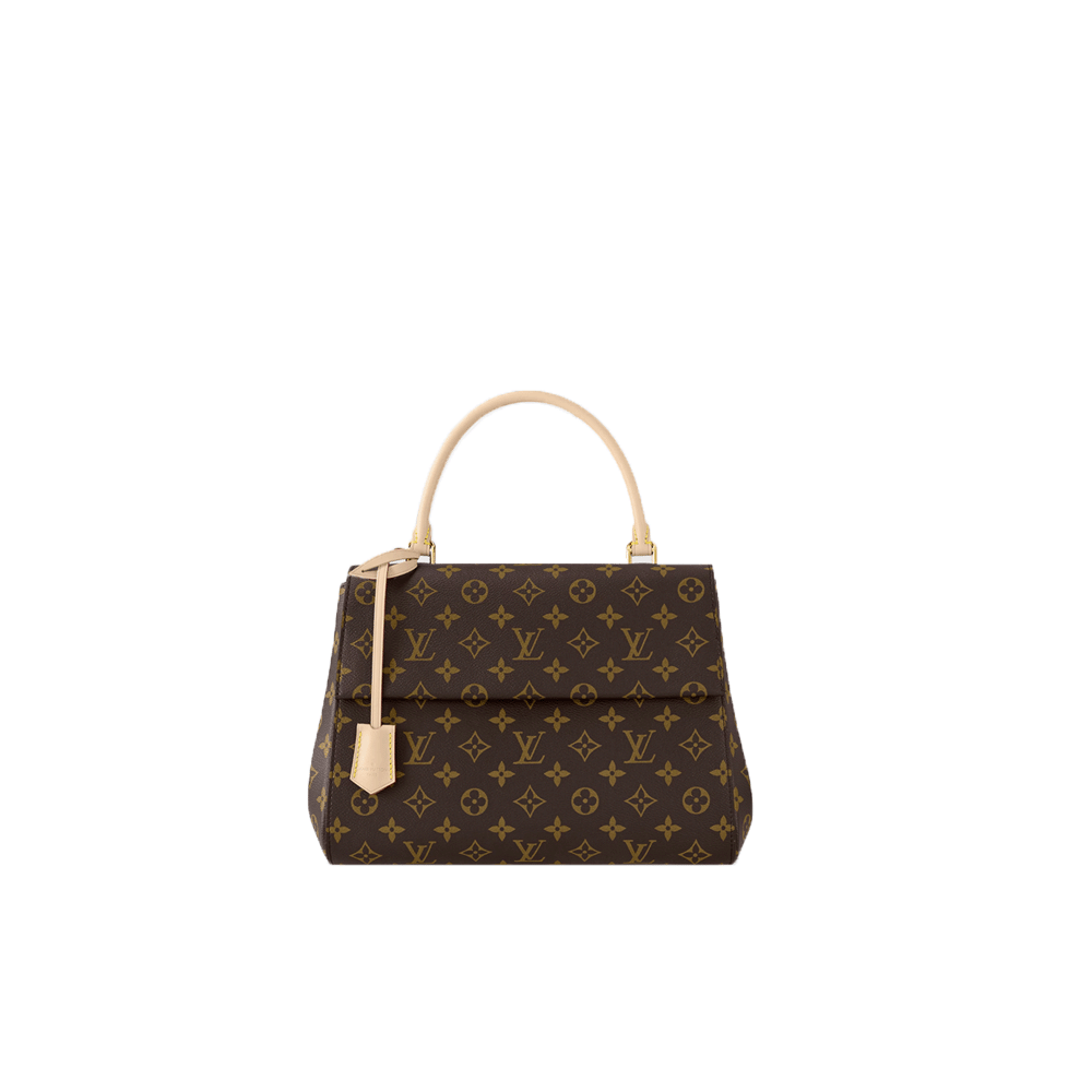 Louis Vuitton LV Cluny Bag