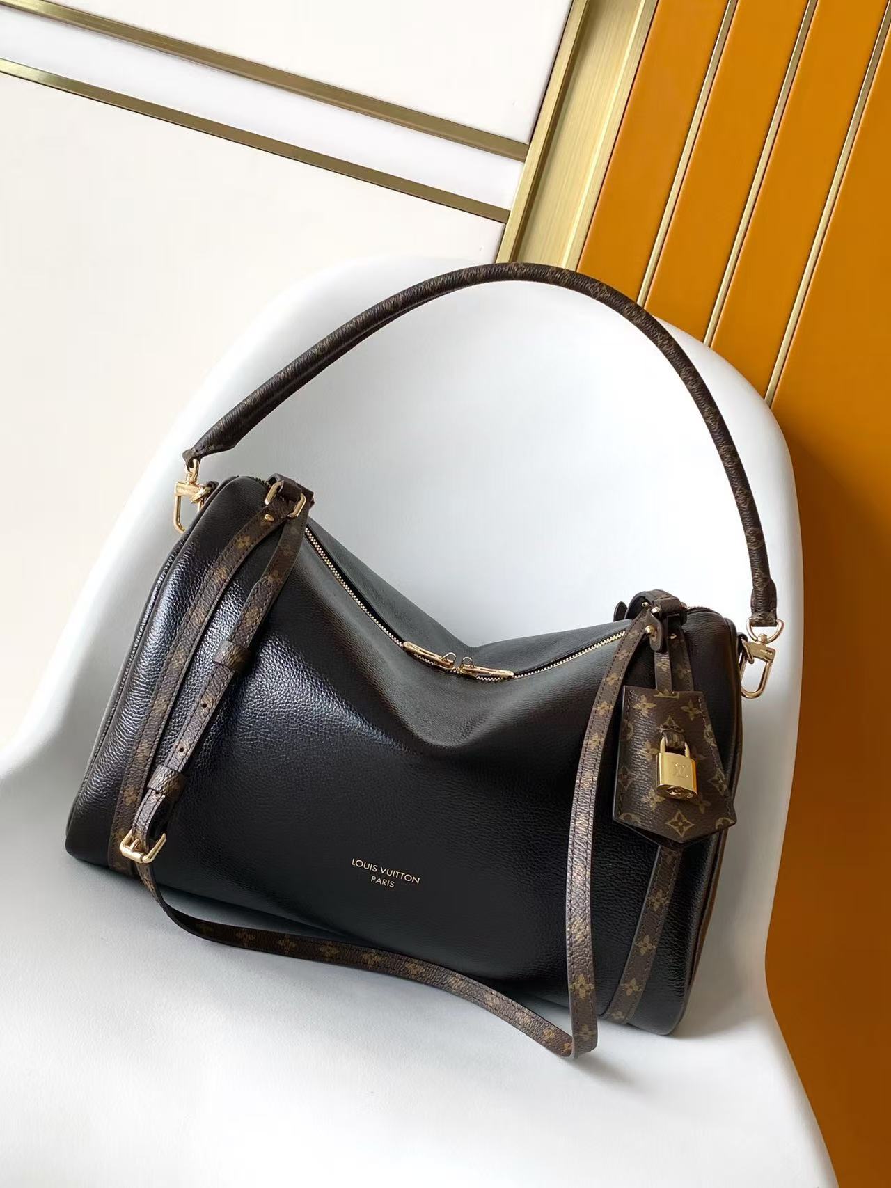 Louis Vuitton LV EXPRESS Bags