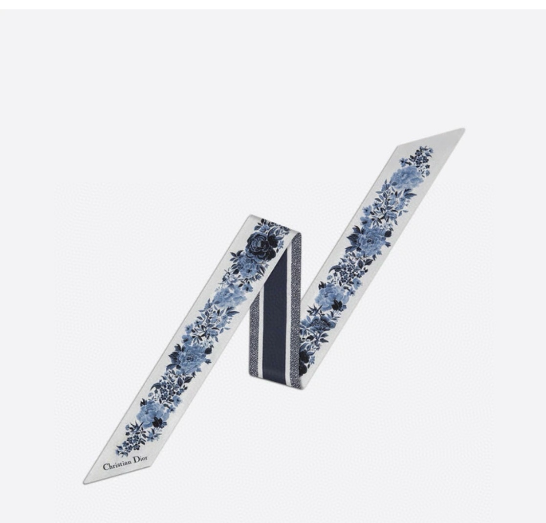 Dior Printed MITZAH Twilly